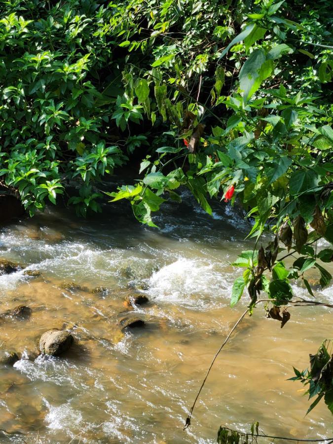 Hospedaria E Camping Quintal Do Mundo Lumiar Kültér fotó
